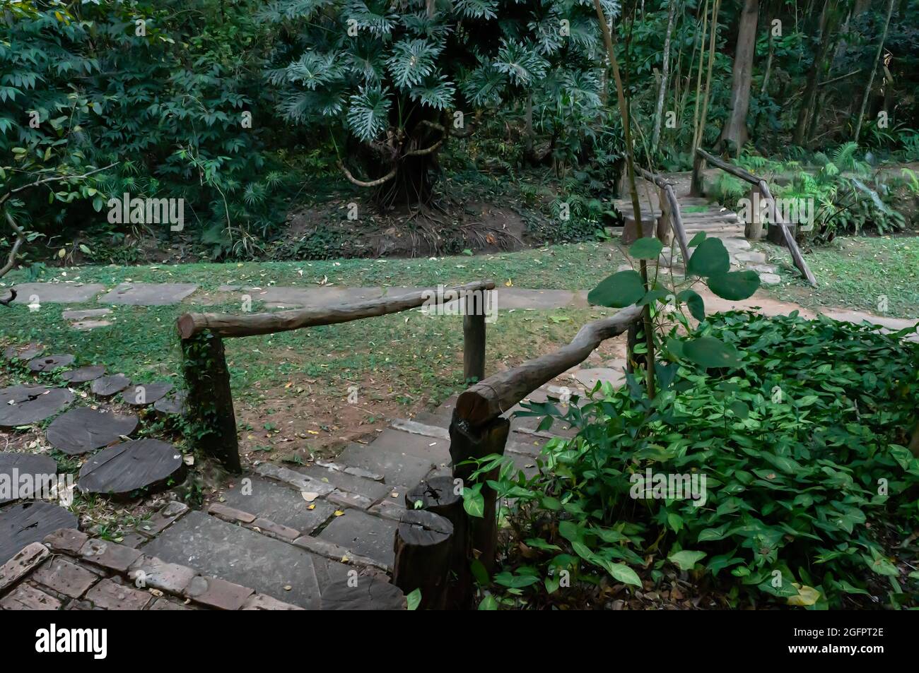 Die grüne Vegetation befindet sich hinter der Snackbar des Botanischen Gartens der Universität Minas Gerais. Stockfoto