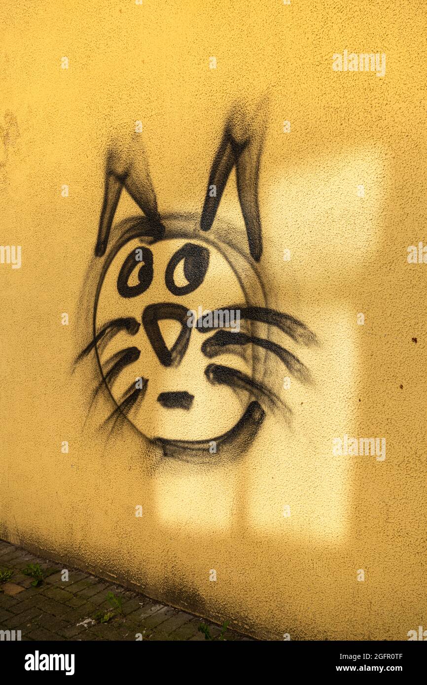 Die Zeichnung einer Katzenschnauze an einer Wand Stockfoto