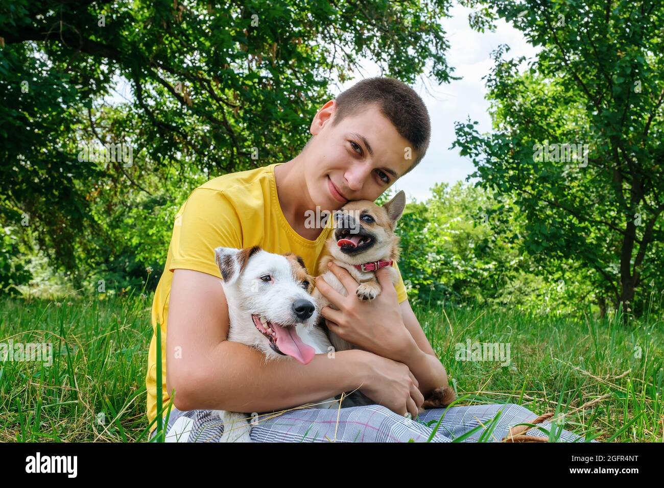 Der Mann umarmt zwei Hunde Jack Russell und einen chihuahua und ruht sich im Park aus Stockfoto