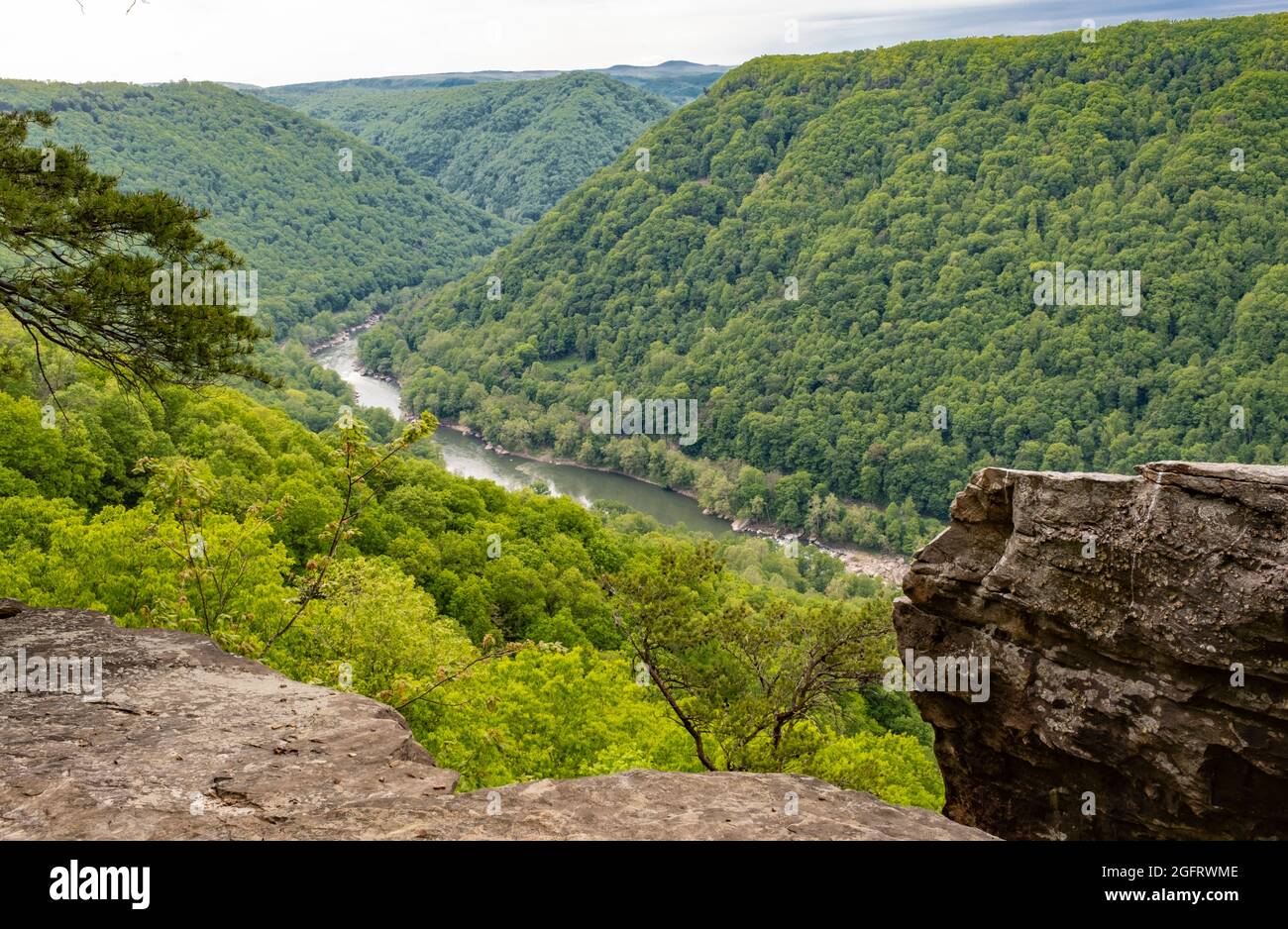 New River Gorge National Park, West Virginia. Blick auf die New River Gorge vom Endless Wall Trail. Stockfoto