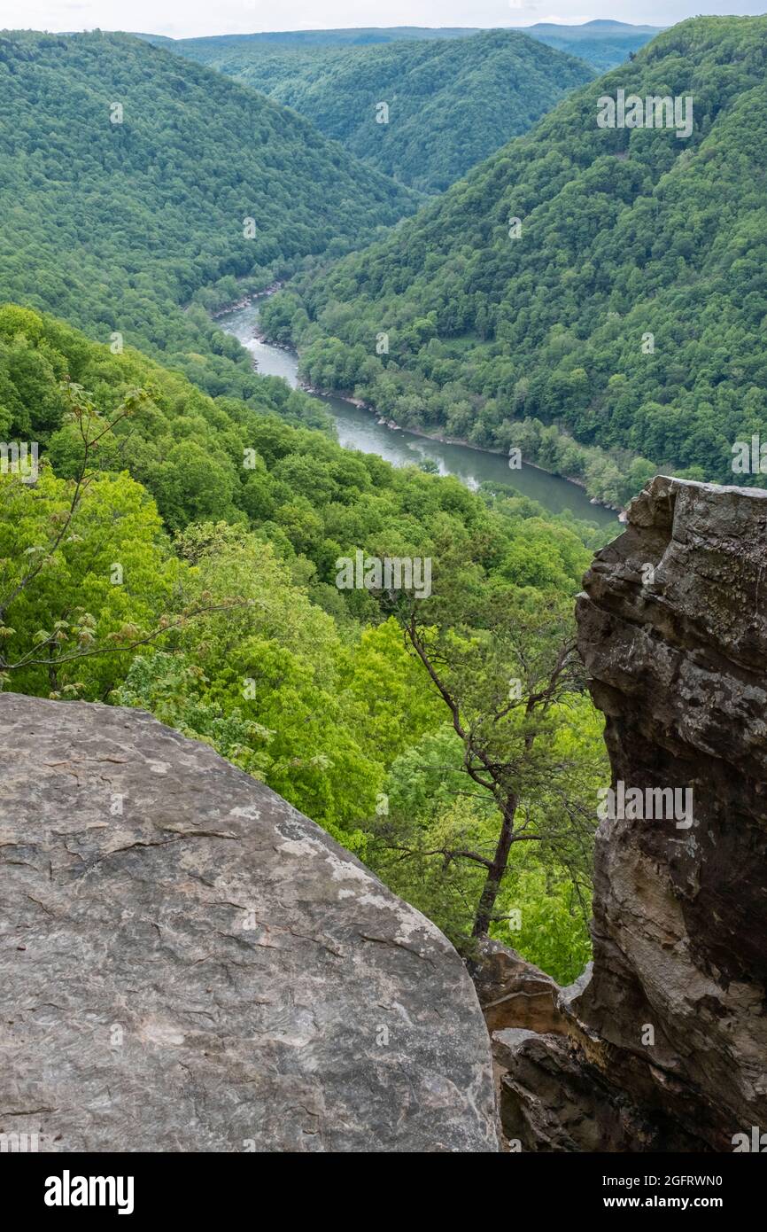 New River Gorge National Park, West Virginia. Blick auf die New River Gorge vom Endless Wall Trail. Stockfoto