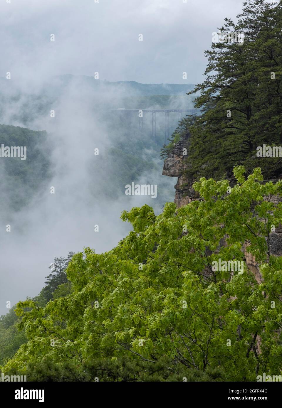 New River Gorge National Park, West Virginia. Blick auf die New River Gorge Bridge durch den Nebel an einem regnerischen Tag vom Endless Wall Trail. Stockfoto