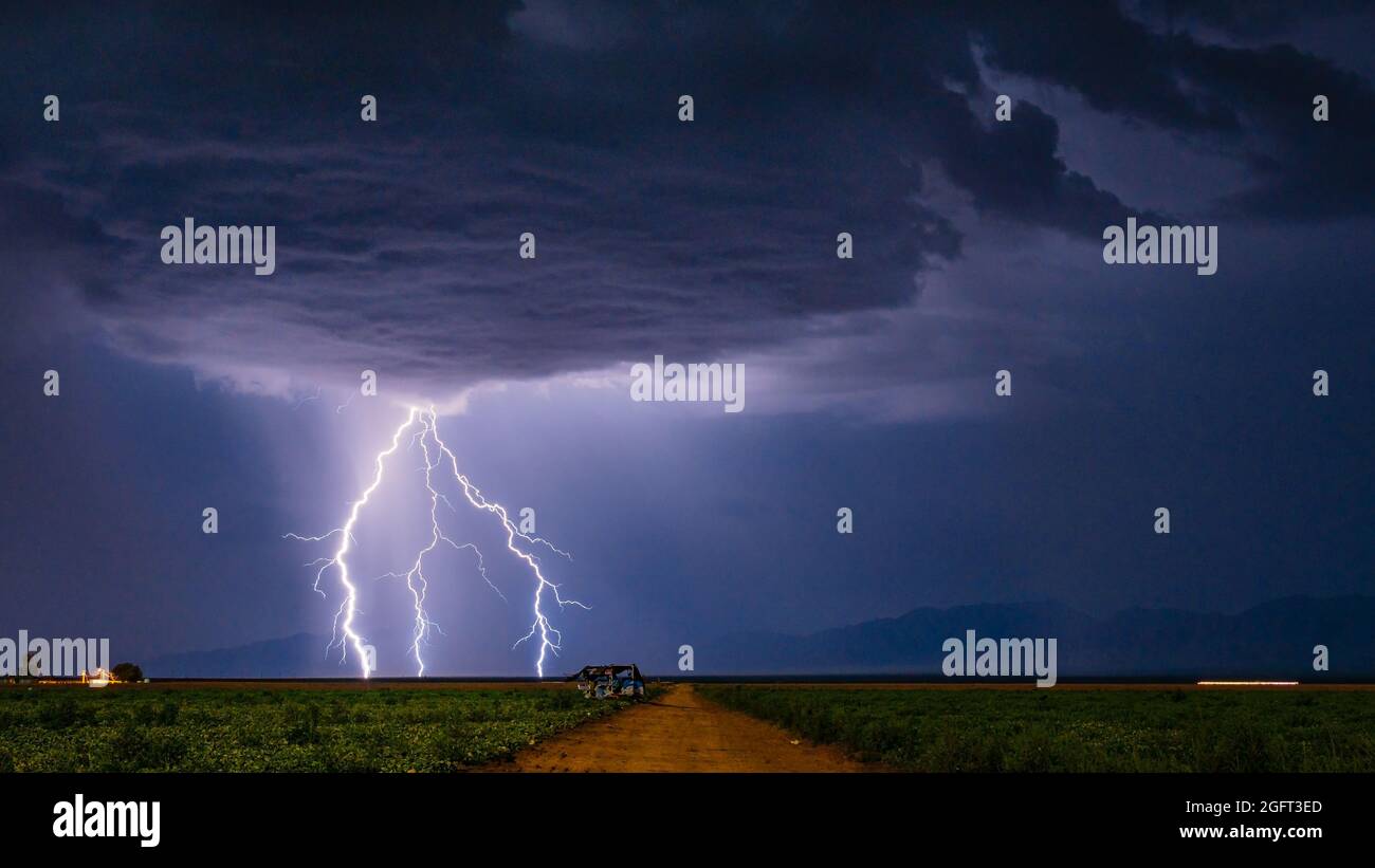 Schöner Blitzschlag über einem Farmfeld Stockfoto