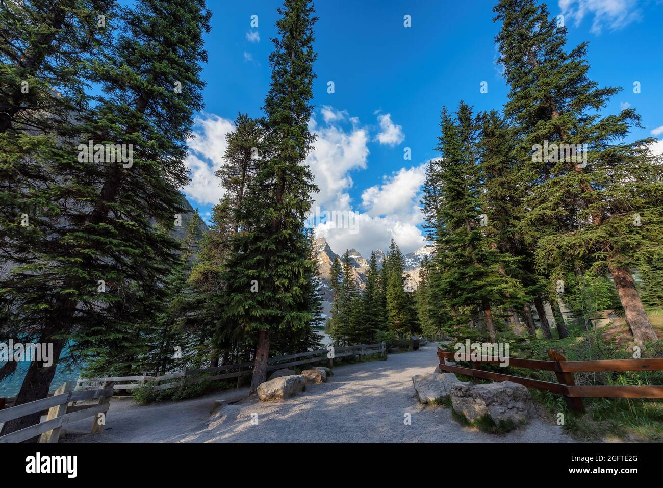 Panoramablick auf den Touristenwanderweg in den verschneiten kanadischen Rockies, Banff National Park, Kanada. Stockfoto