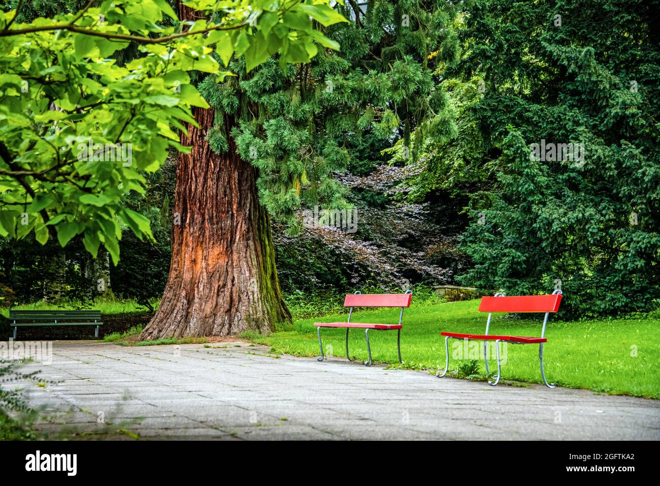 Eine einladende Münze im Stadtpark zum Entspannen und Genießen der grünen Natur an einem Sommertag Stockfoto