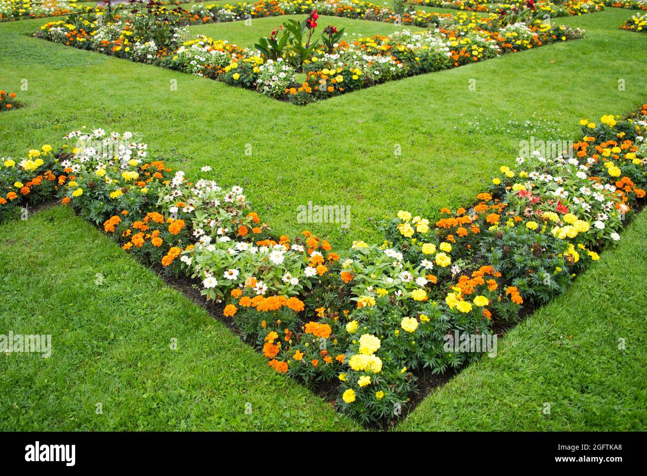 Schöner Garten mit grünem Gras und in Linien angeordneten bunten Blumenpflanzen Stockfoto