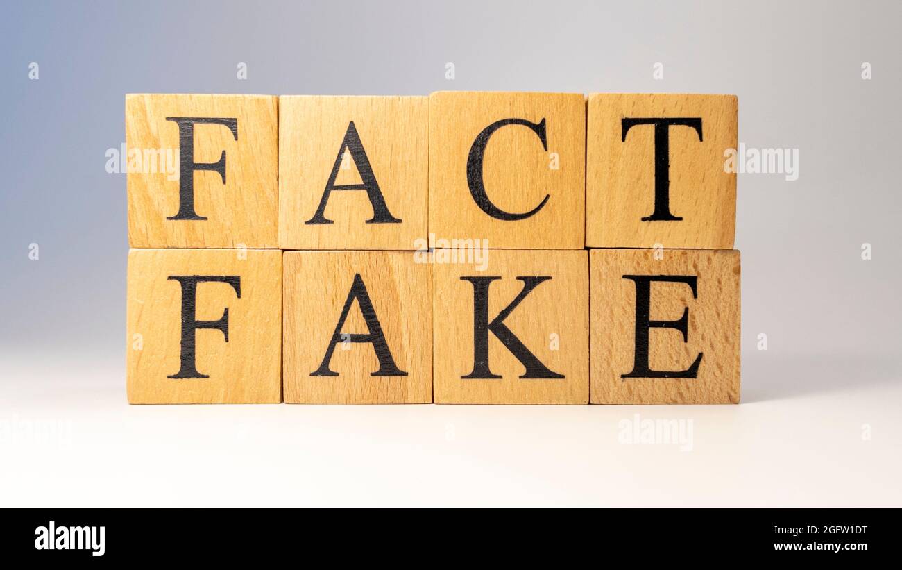 Das Wort Fact oder Fake wurde aus Holzwürfeln erschaffen. Stockfoto