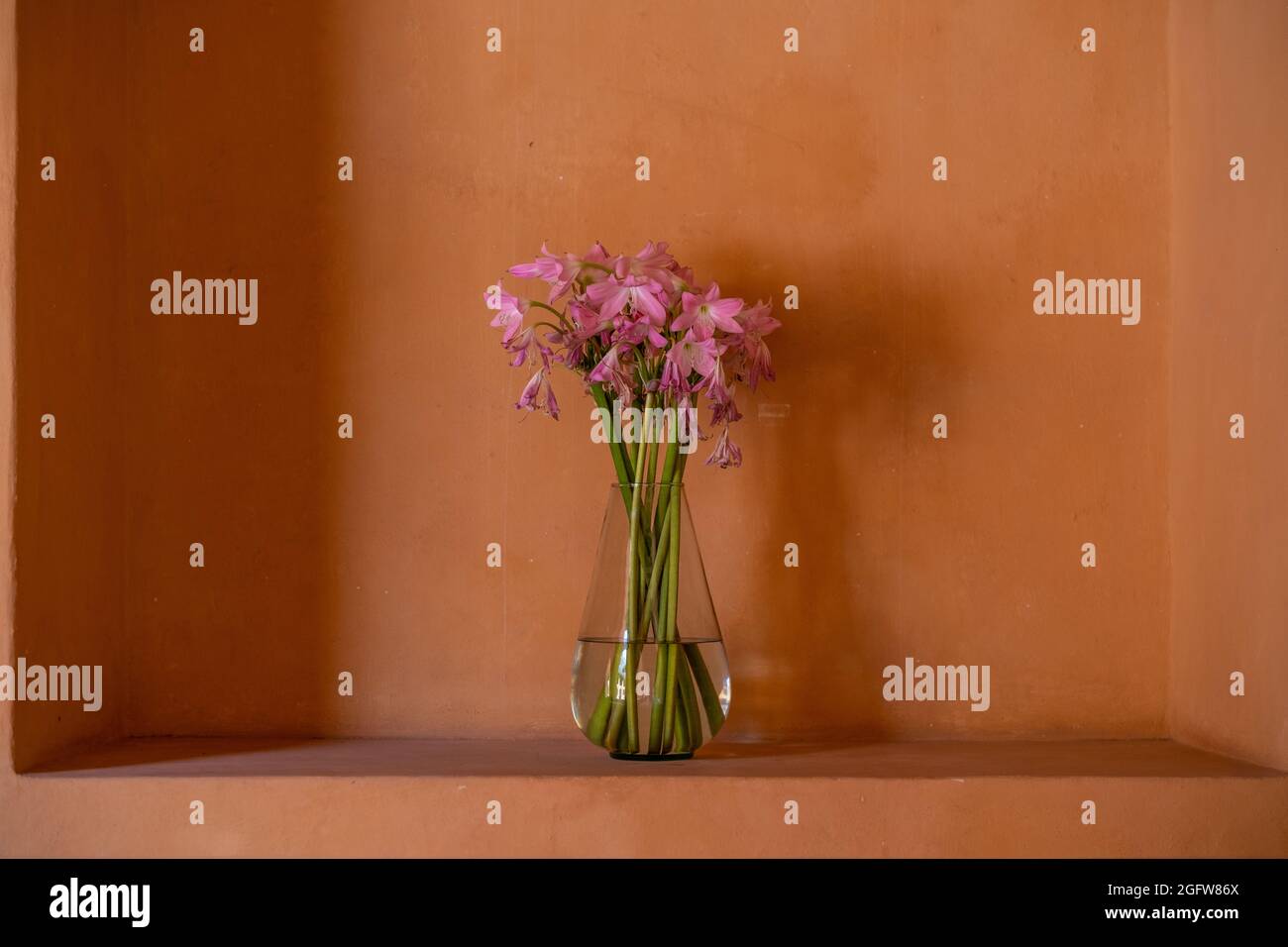 Vase mit verwelkenden, sterbenden Blumen Stockfoto