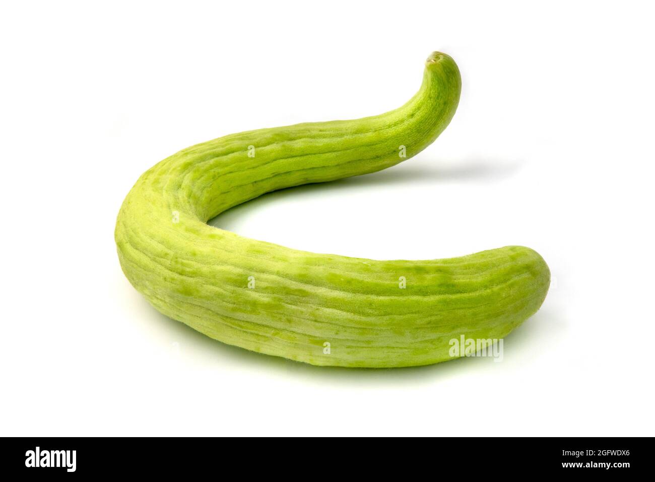 Armenische Gurke (Cucumis melo var. flexuosus) auf weißem Hintergrund Stockfoto