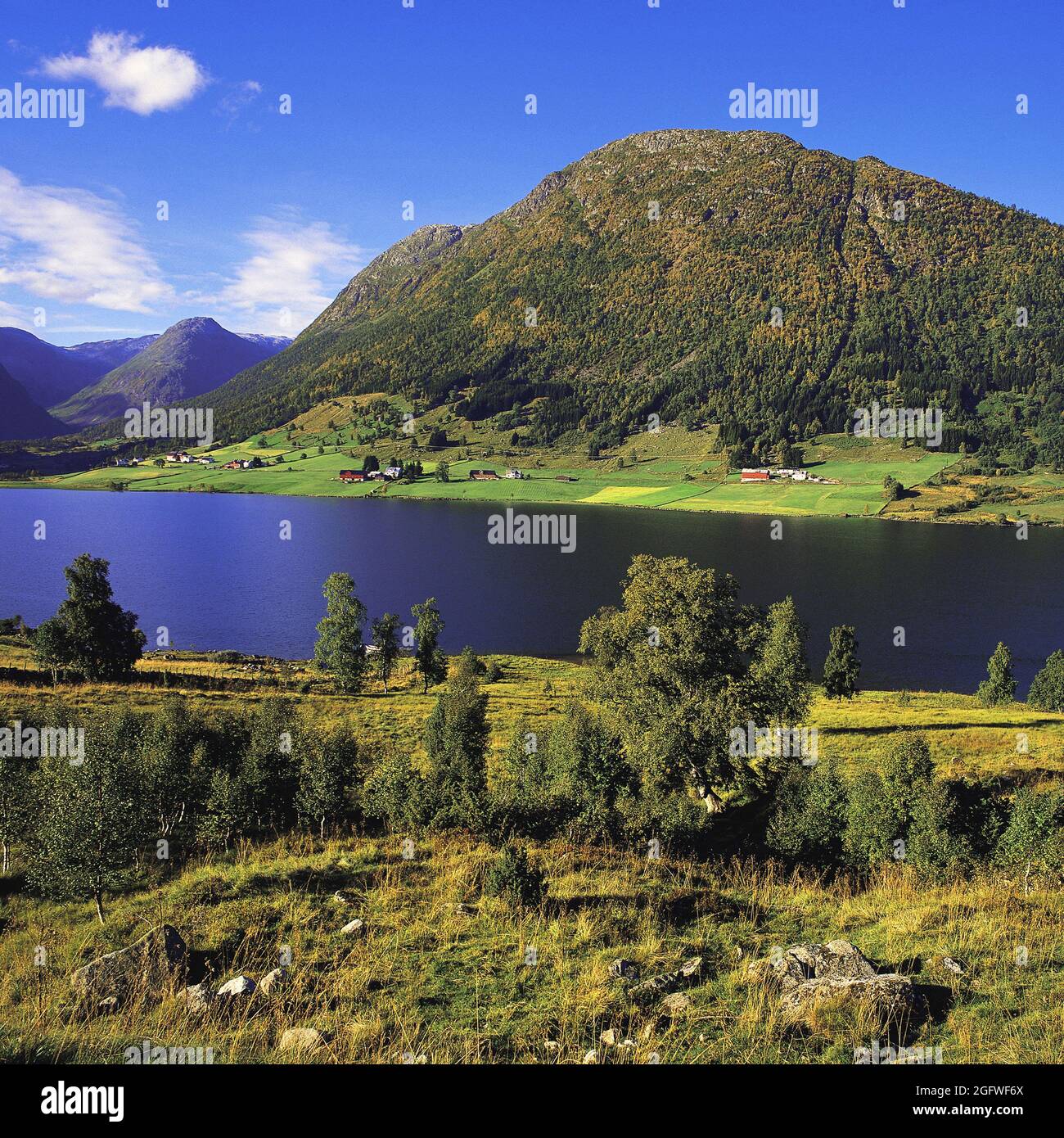 See und Hügel in Anestolen, Norwegen, Sogndalsdalen, Anestolen Stockfoto