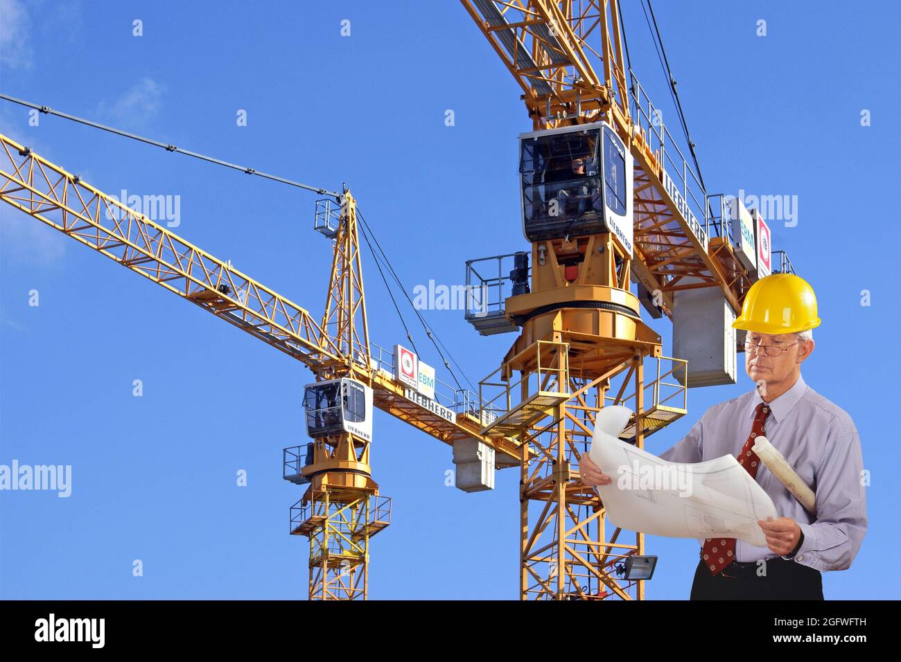 Architekt mit Bauplan und Hut, Turmdrehkrane im Hintergrund Stockfoto