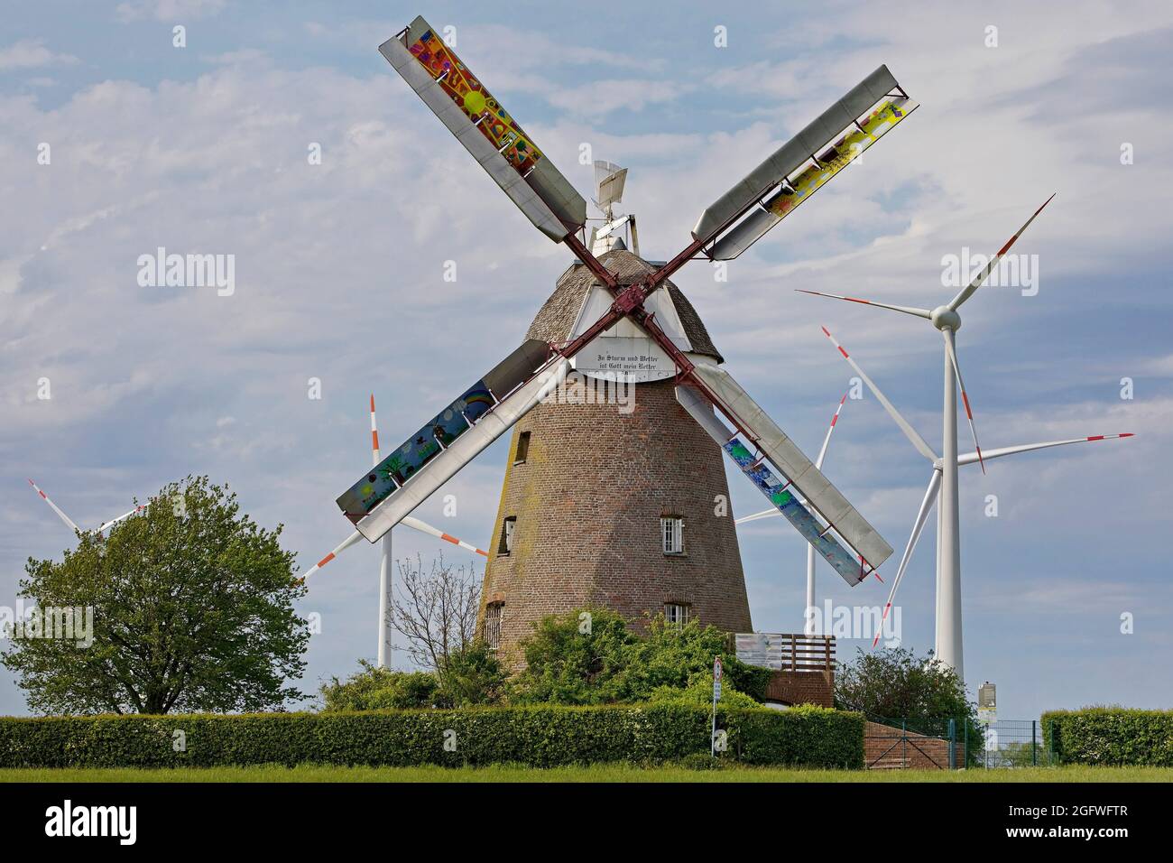 Museum Windmühle in Breberer, Selfkant-Mühlenstraße mit Windrädern, Deutschland, Nordrhein-Westfalen, Niederrhein, Gangelt Stockfoto