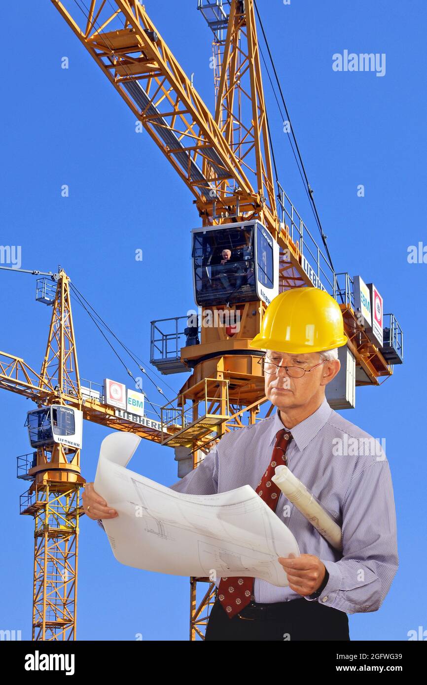 Architekt mit Bauplan und Hut, Turmdrehkrane im Hintergrund Stockfoto