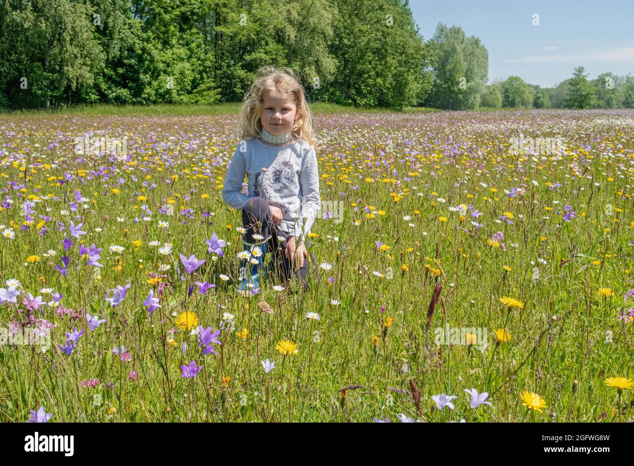 Kleines Mädchen auf einer bunten Sommerwiese, Deutschland, Bayern, Isental Stockfoto