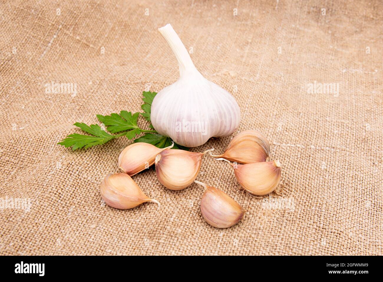 Knoblauchzehen und Knoblauchzwiebel auf Vintage-Eibisch. Stockfoto