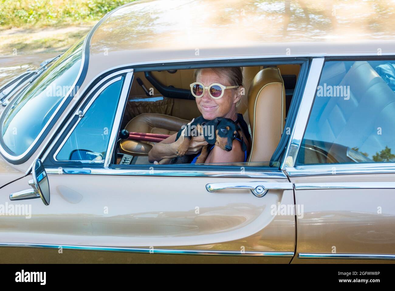 Lächelnde Frau mit Welpen im Auto Stockfoto