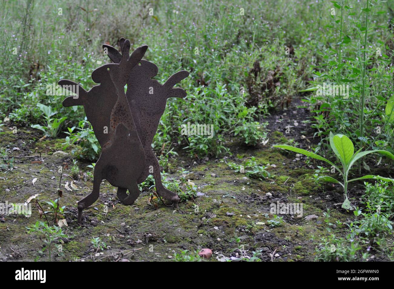 Metallskulptur von zwei Hasen in der Boxposition Stockfoto