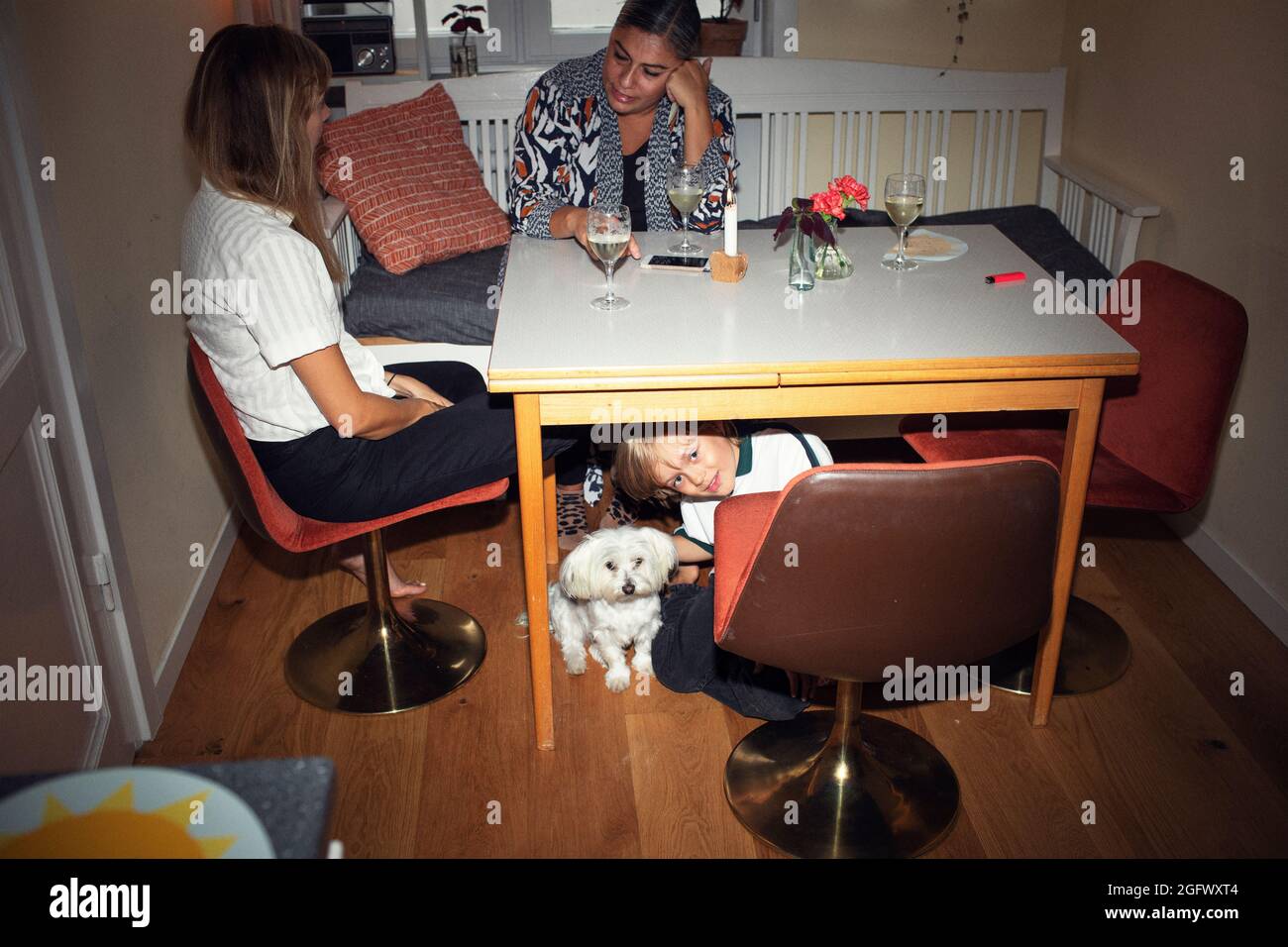Junge mit Hund unter dem Tisch sitzen Stockfoto