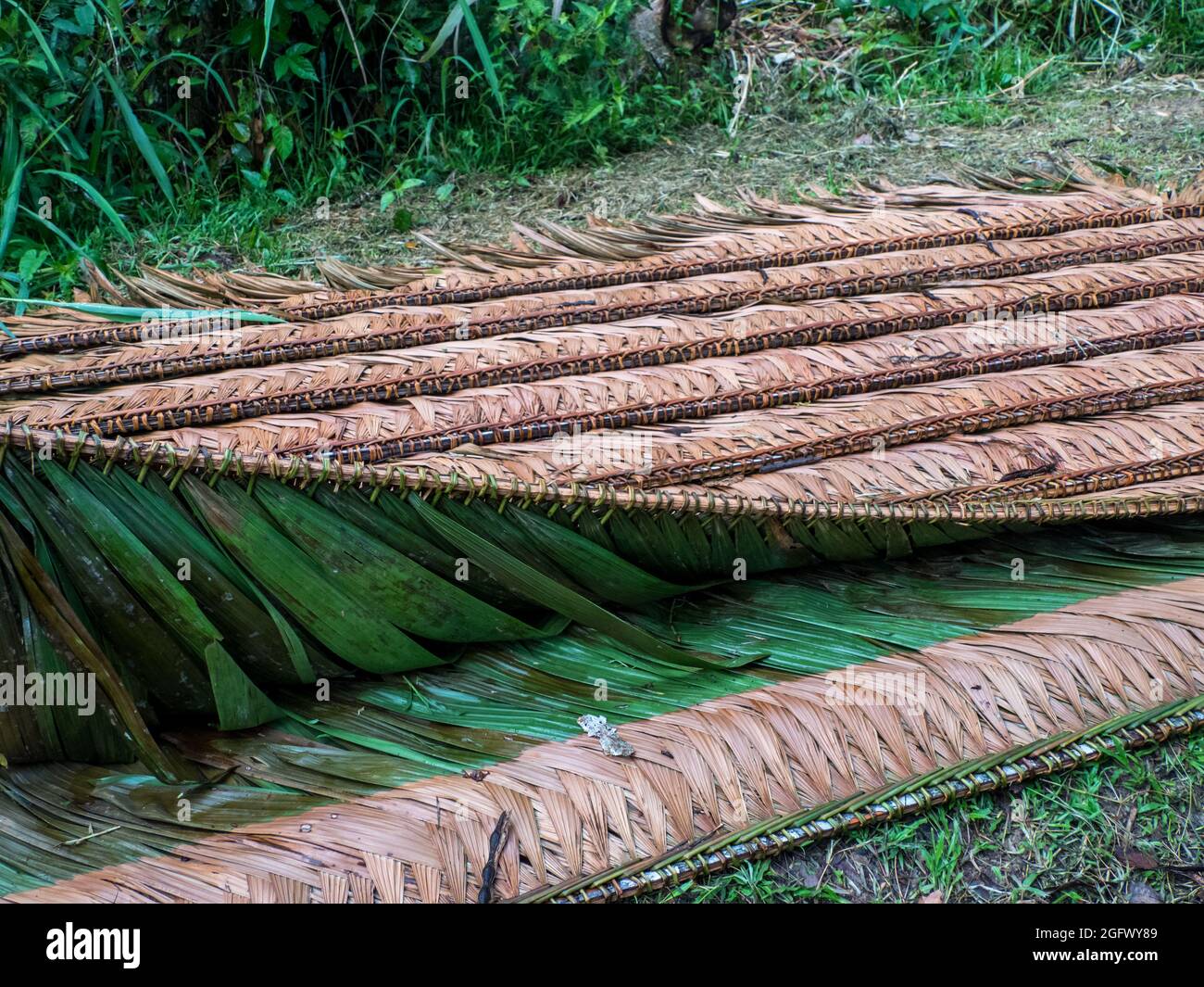 Dach aus einem Palmenblatt, um Holzhäuser im Amazonaswald zu bedecken. Amazonien, Brasilien, Südamerika. Stockfoto