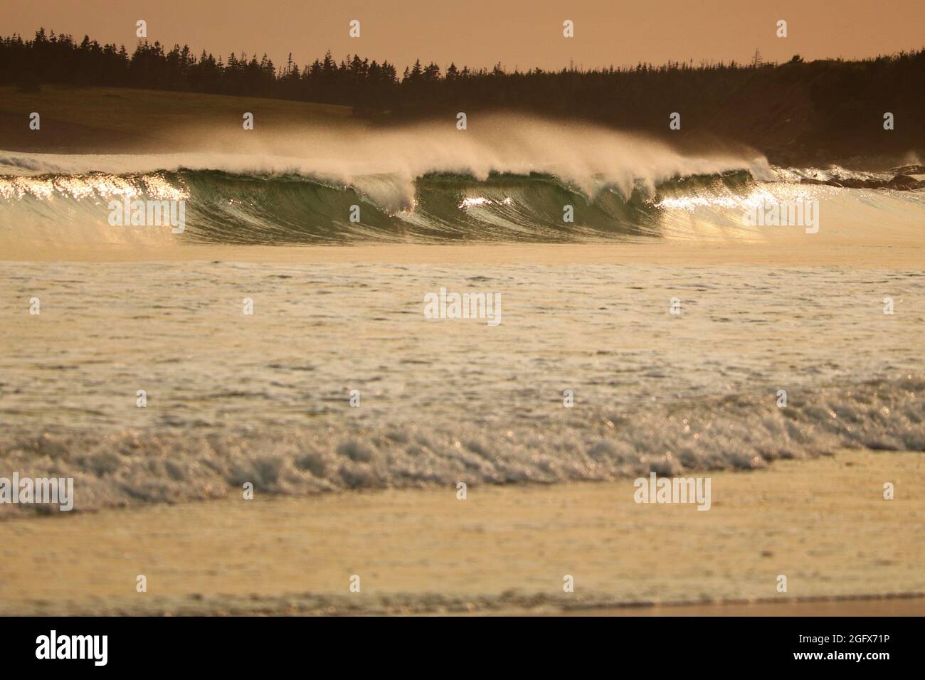 Wellen schlagen im Martinique Beach Provincial Park Stockfoto