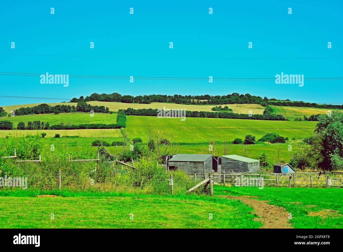 Die Hügel der Landschaft von Essex Stockfoto