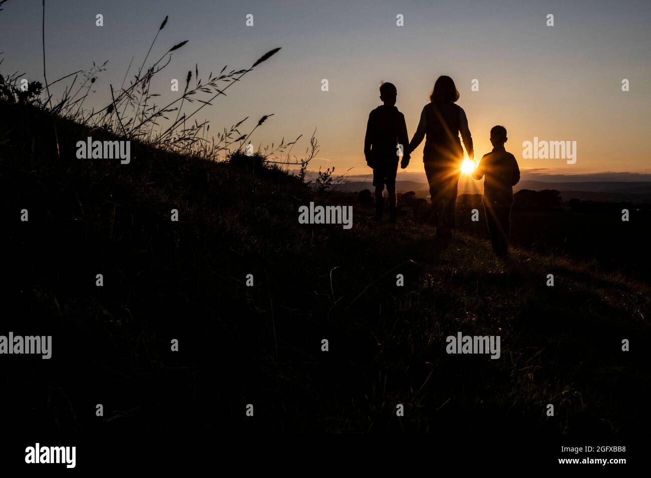 Sunset, Halwell, Totnes, South Devon. England, Vereinigtes Königreich Stockfoto
