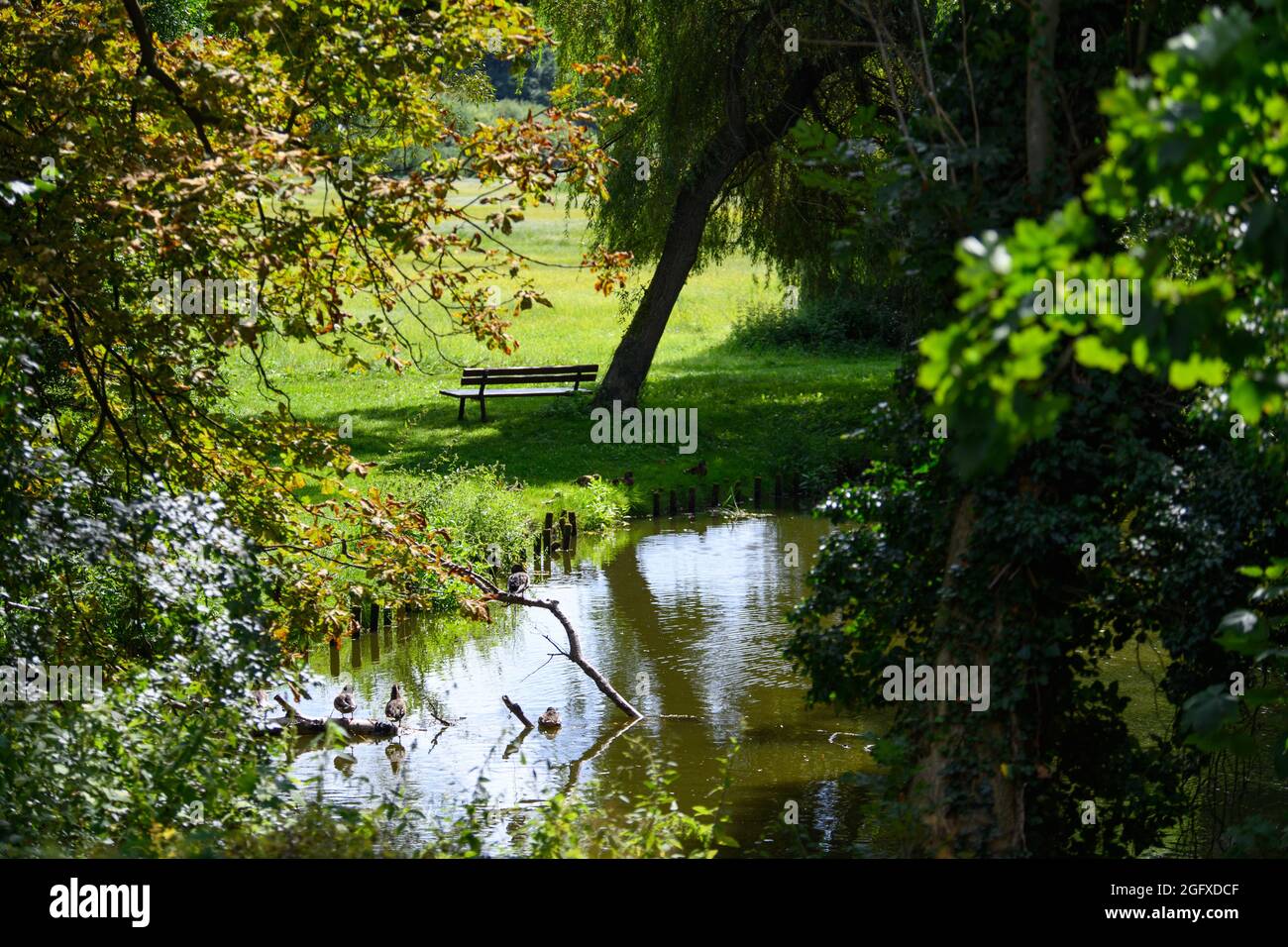 24. August 2021, Brandenburg, Trebbin/OT Blankensee: Eine Gartenbank steht am Ufer der Nauplitz im Park von Schloss Blankensee. Das gleichnamige Dorf wurde erstmals schriftlich in einem Dokument aus dem Jahr 1307 erwähnt. Das Dorf im Naturschutzgebiet ist Ausgangspunkt für Wanderungen und Ausflüge rund um den rund 300 Hektar großen See. Foto: Soeren Sache/dpa-Zentralbild/ZB Stockfoto