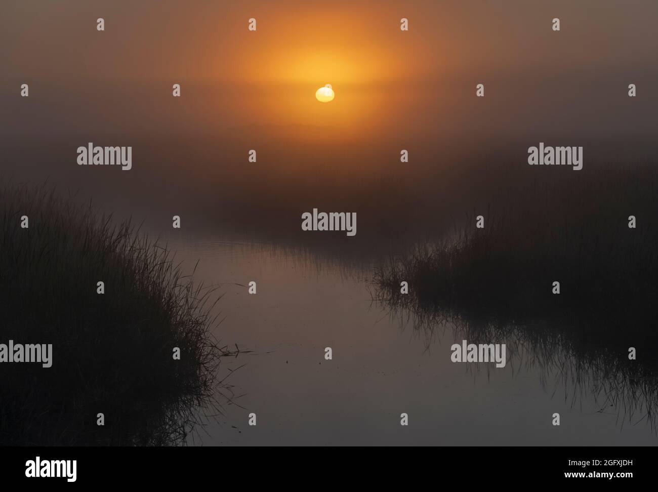 Die Sonne geht durch Nebel über einem Sumpfgebiet bei Crex Meadows in Wisconsin auf. Stockfoto