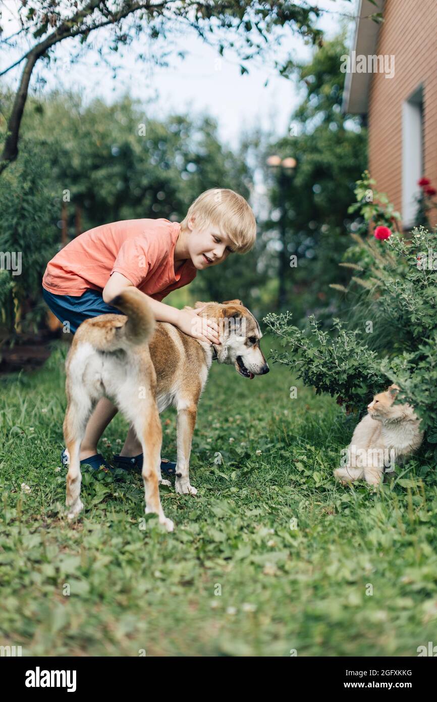 Junge spielt mit Katze und Hund im Garten. Stockfoto