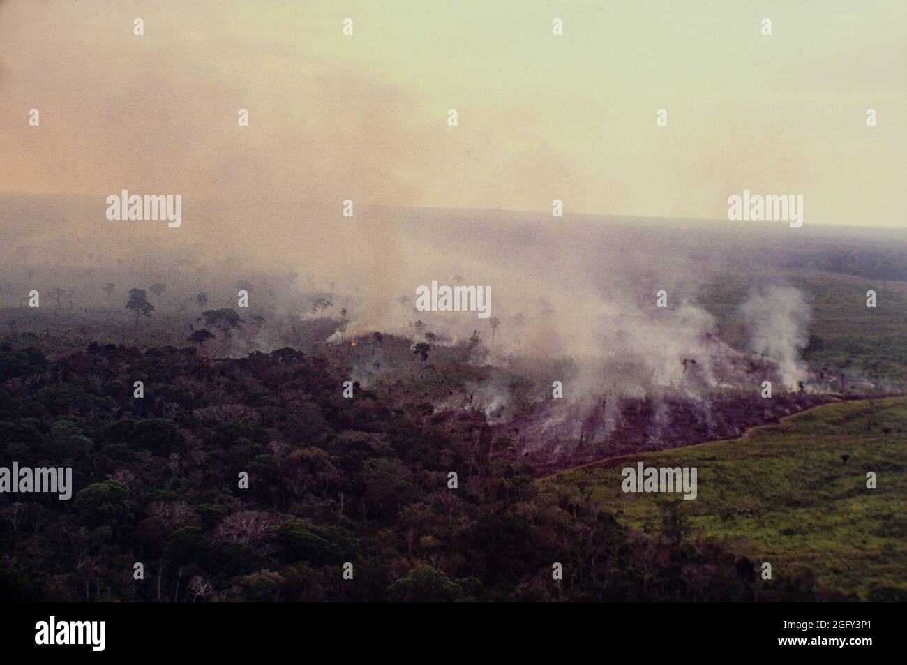 Luftaufnahme des Amazonas-Regenwaldes brennend, Farm Management mit Entwaldung. Stockfoto