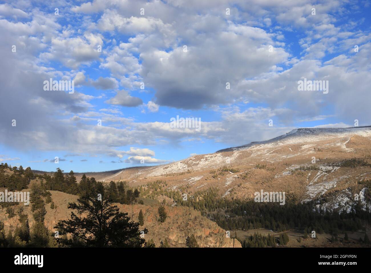 Frühling in South Fork in Colorado Stockfoto