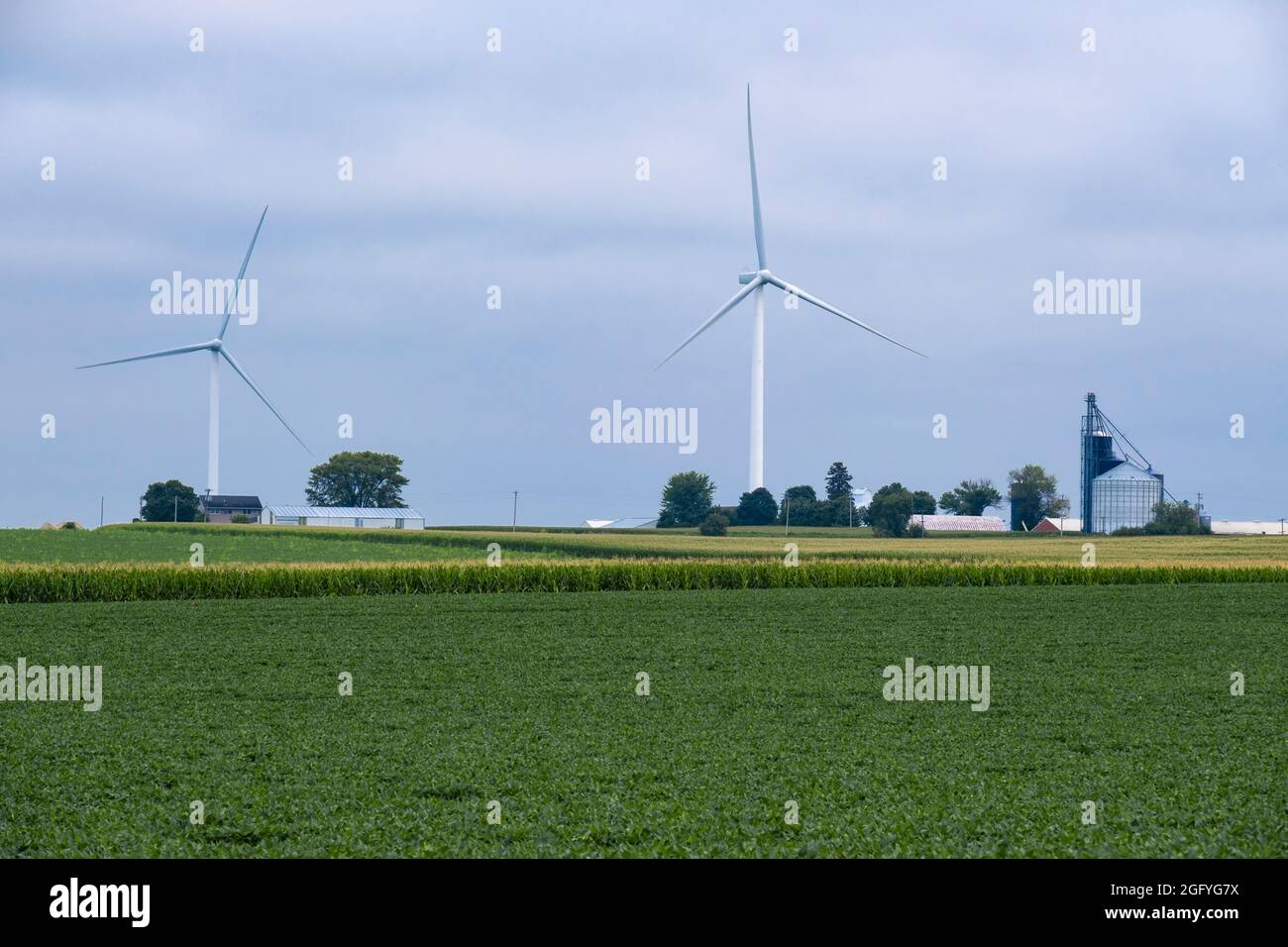In Der Nähe Von Earlville, Iowa. Behälter für Windmühlen und Getreidelager. Sojabohnen und Cornfield im Vordergrund. Stockfoto