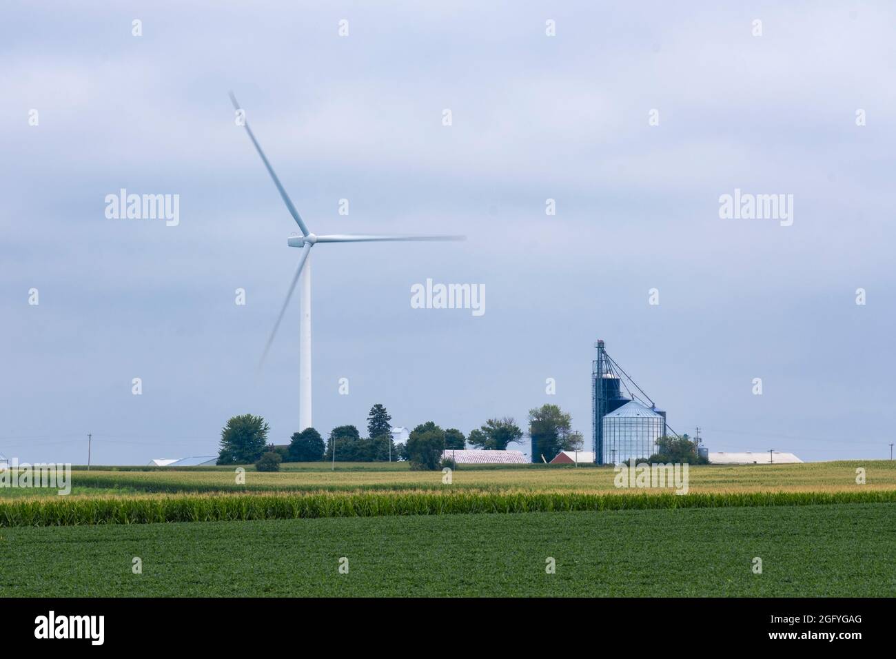 In Der Nähe Von Earlville, Iowa. Die Rotorblätter der Windmühlen drehen sich langsam hinter den Getreidebehältern. Sojabohnen und Cornfield im Vordergrund. Stockfoto