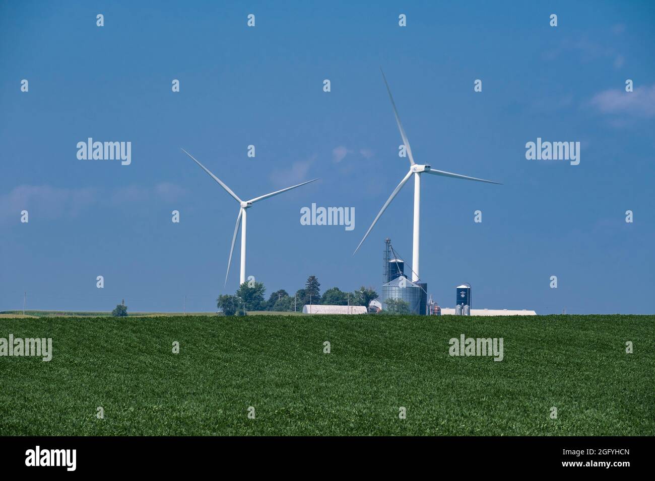 In Der Nähe Von Earlville, Iowa. Windmühlen hinter Getreidelagerbehältern. Sojabohnen im Vordergrund. Stockfoto
