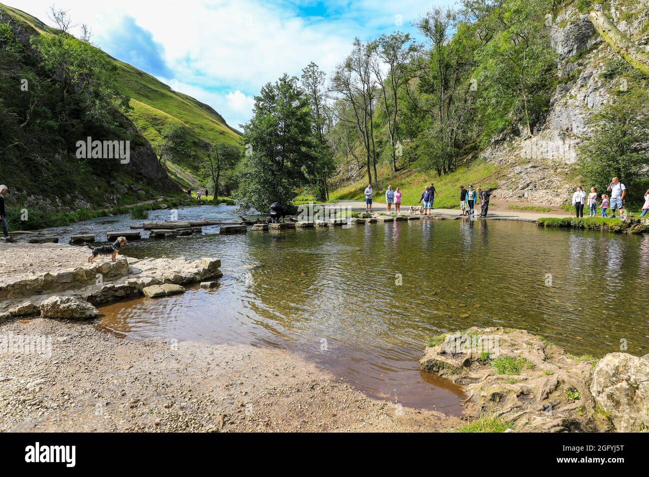 Die Trittsteine in Dovedale an der Grenze zwischen Staffordshire und Derbyshire am Fluss Dove, England, Großbritannien Stockfoto