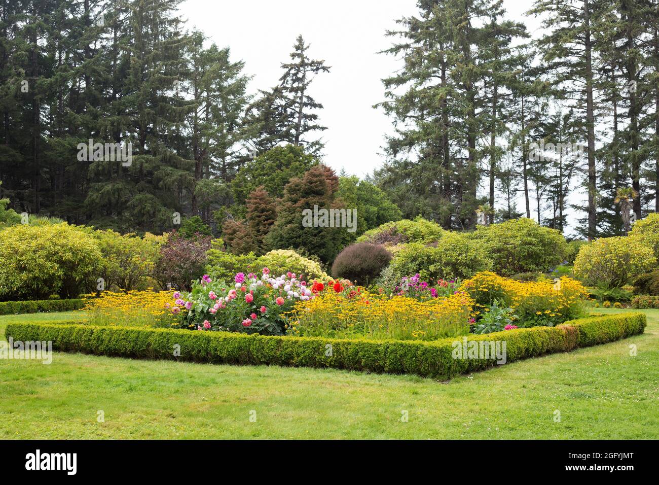 Ein Blumenbeet mit einer Buchsbaumhecke am Shore Acres State Park in Coos Bay, Oregon. Stockfoto