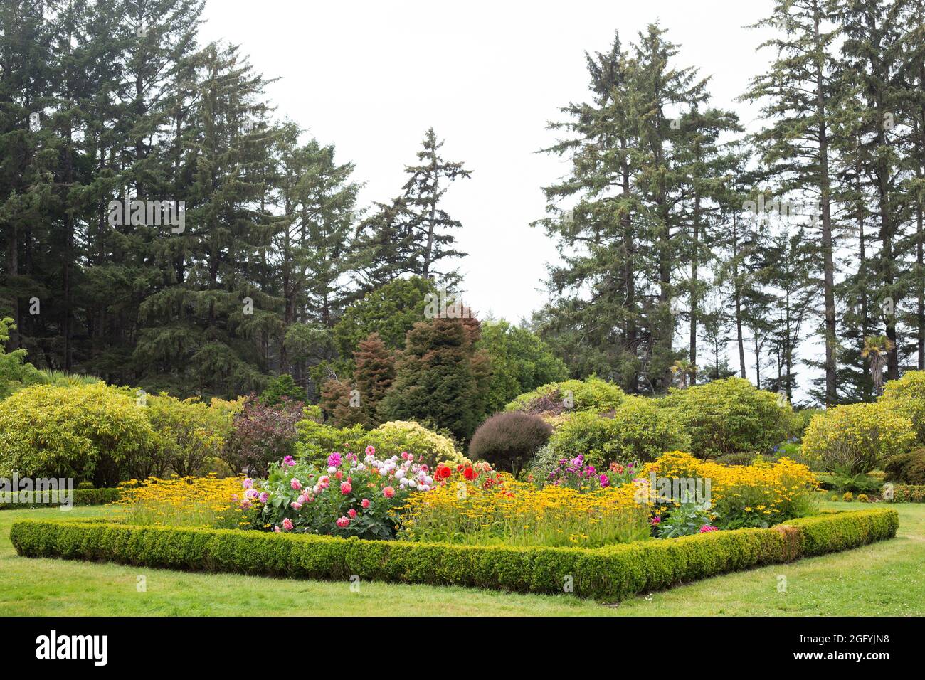 Ein Blumenbeet mit einer Buchsbaumhecke am Shore Acres State Park in Coos Bay, Oregon. Stockfoto