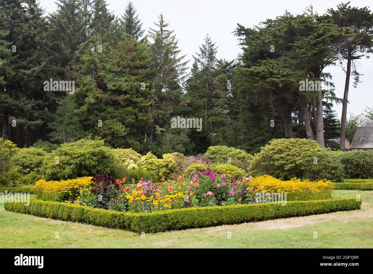 Ein Blumenbeet mit einer Buchsbaumhecke am Shore Acres State Park in Coos Bay, Oregon. Stockfoto