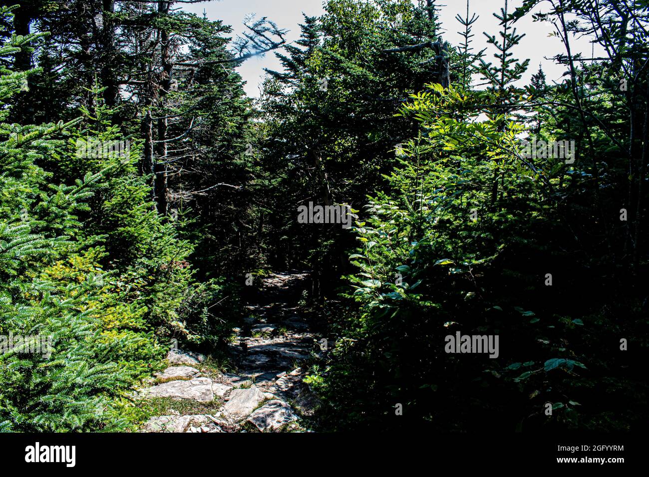 Weg zum Equinox Preserve auf dem Mount Equinox Stockfoto