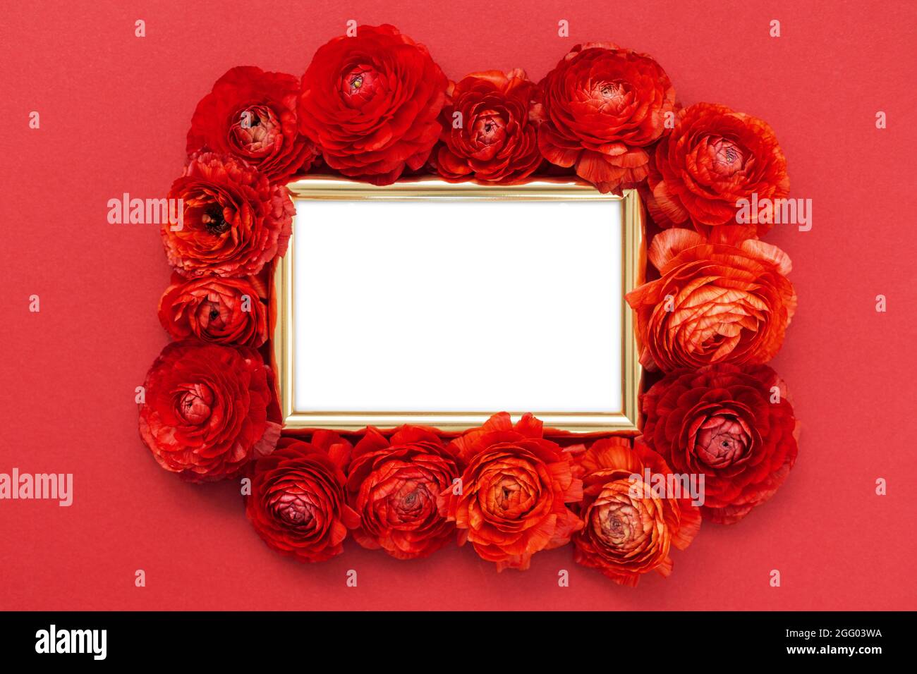 Rote Schmetterlinge Blumen um goldene Farbe Fotorahmen auf rotem Hintergrund. Modell für Ihr Design. Flach liegend, Draufsicht. Stockfoto
