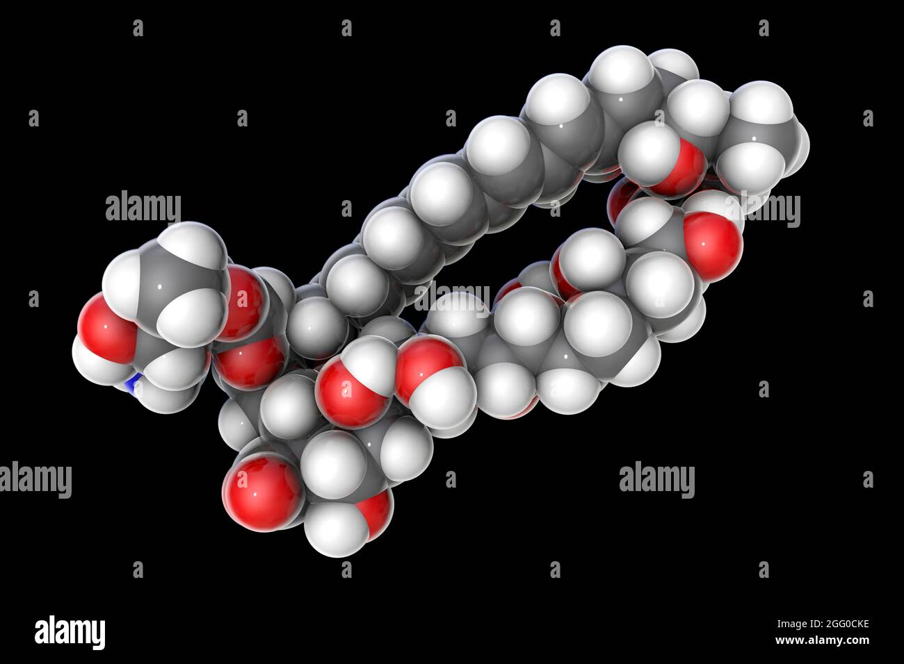 Amphotericin B antimykotisches Wirkstoffmolekül, Abbildung. Die chemische Formel ist C47H73NO17. Atome werden als Kugeln dargestellt: Kohlenstoff (grau), Wasserstoff (weiß), Sauerstoff (rot). Stockfoto