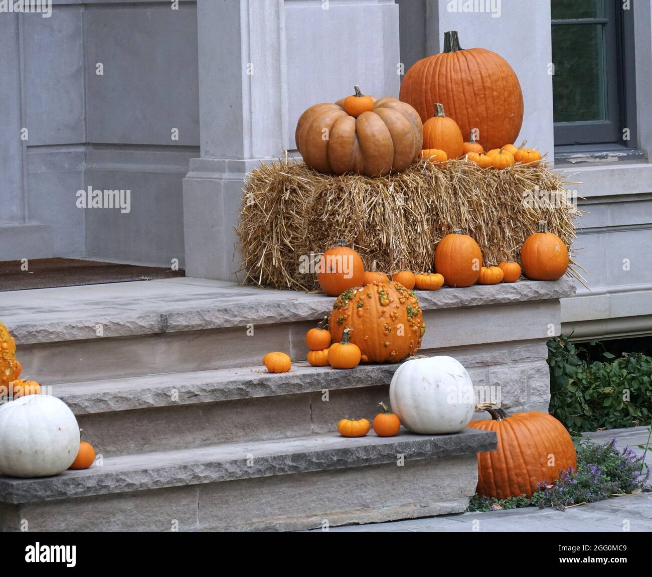 Vordertreppe von zu Hause mit unterschiedlich großen Kürbissen und Stroh als Halloween-Dekorationen Stockfoto