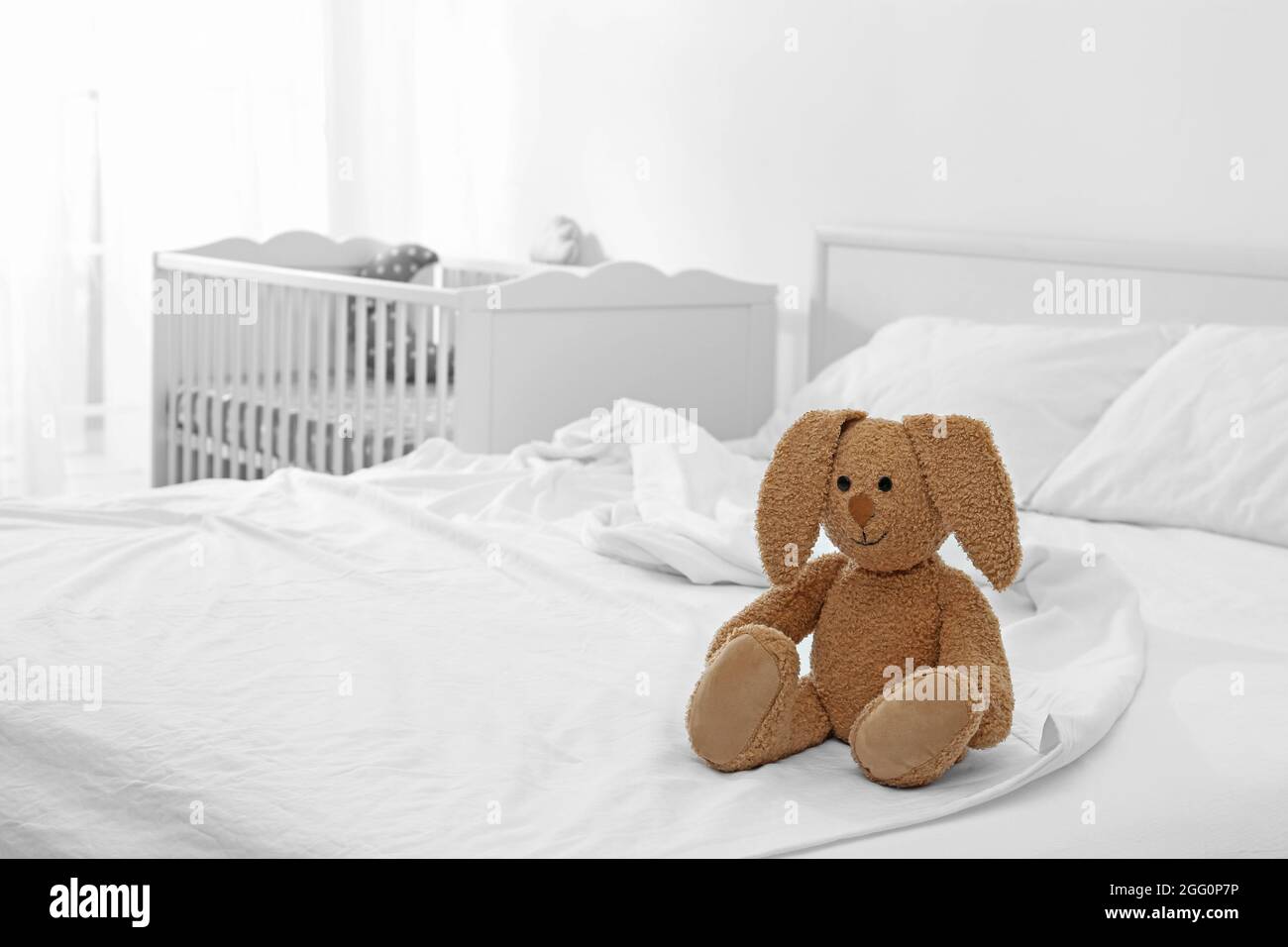 Niedlicher Hase auf dem Bett zu Hause Stockfotografie - Alamy