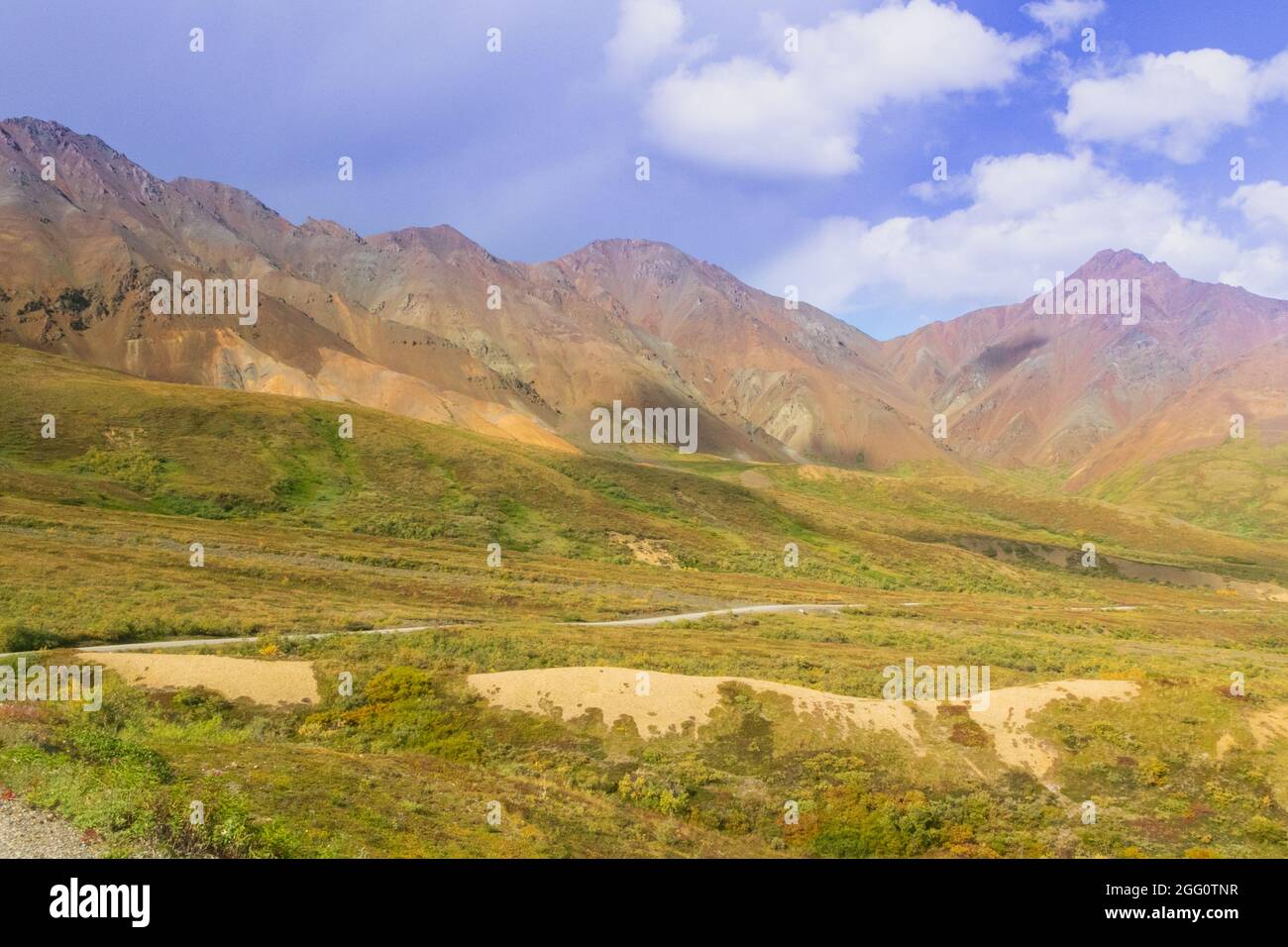 Panorama über dem Tal des Toklatflusses im Denali Nationalpark Stockfoto