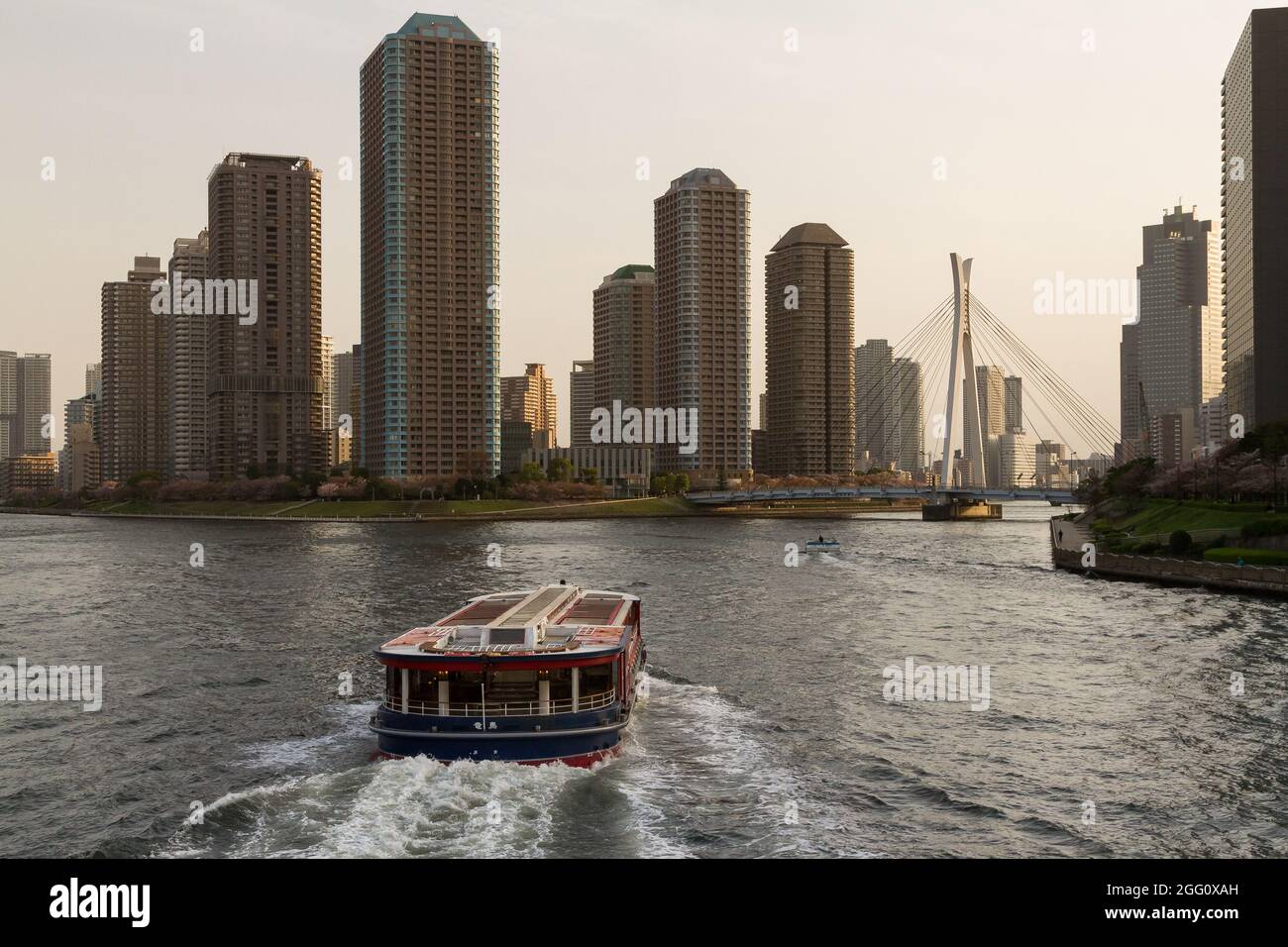 Ein Sight-Cruiser-Boot auf dem Sumida River Tokyo, Japan. Stockfoto