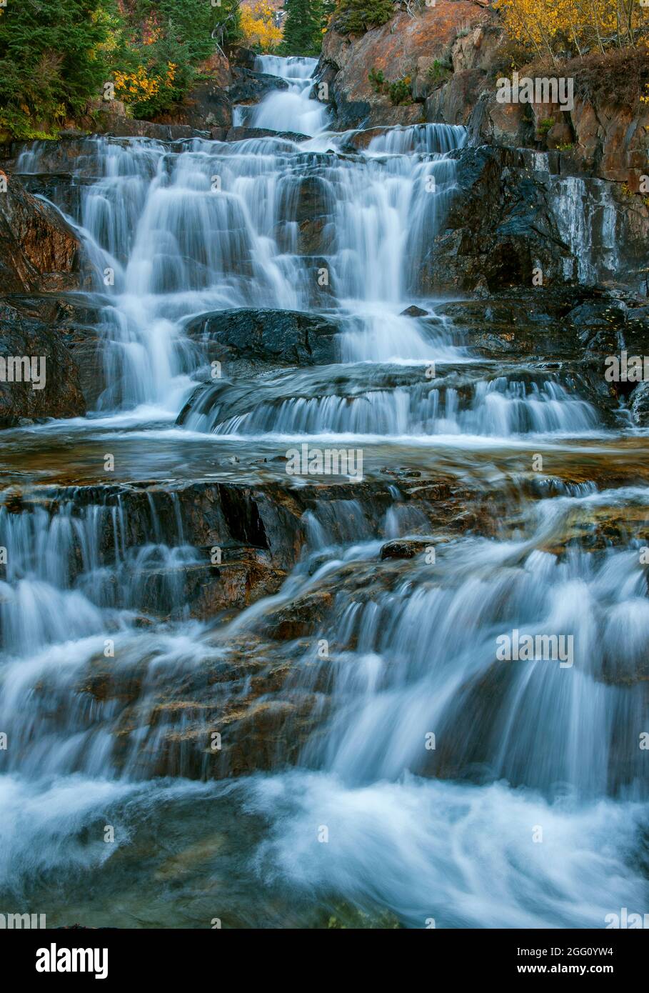 Falls, Mill Creek, Hoover Wilderness, Inyo National Forest, Eastern Sierra, Kalifornien Stockfoto