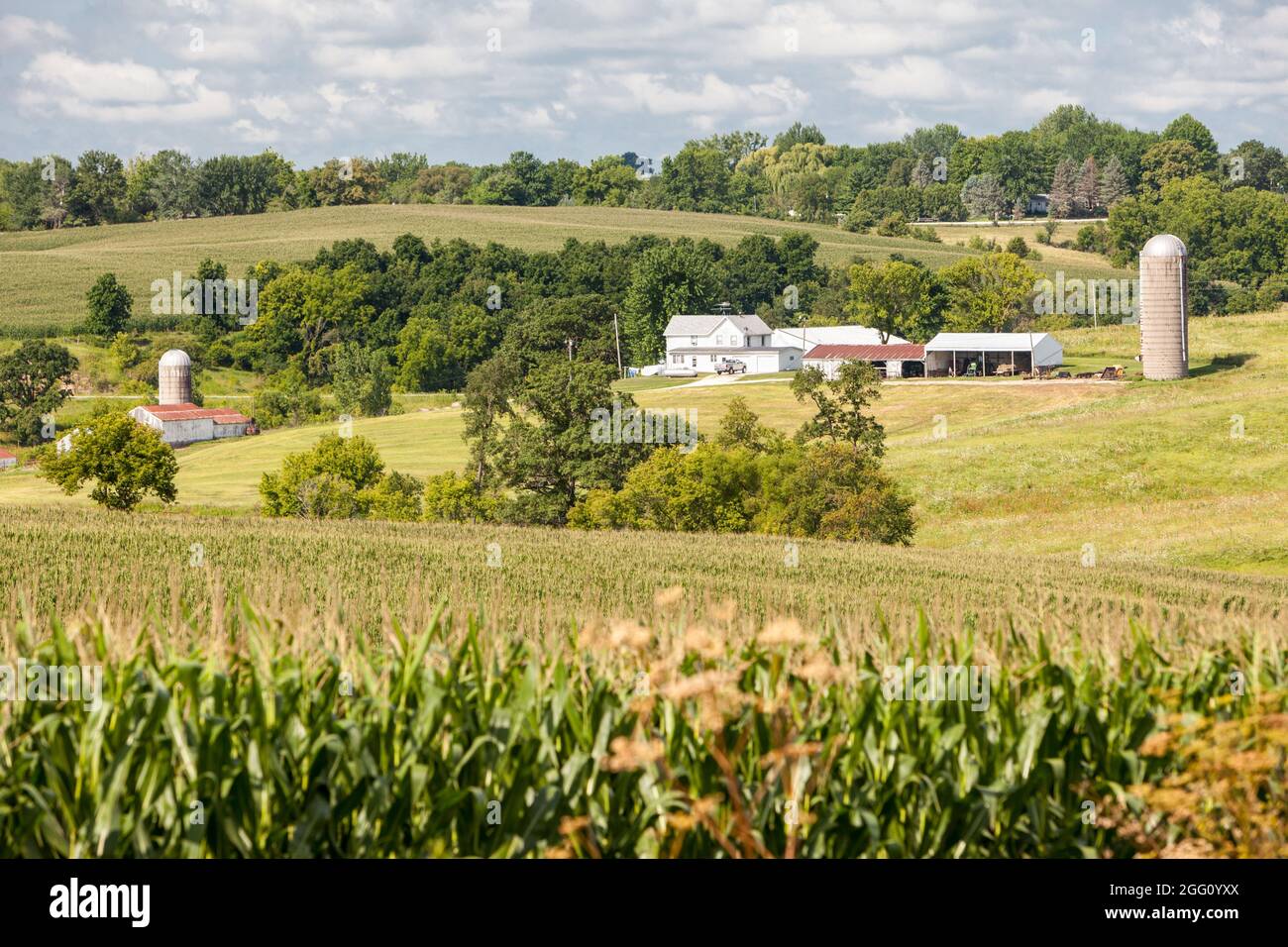 Iowa. Bauernhof in der Nähe von Cascade. Stockfoto