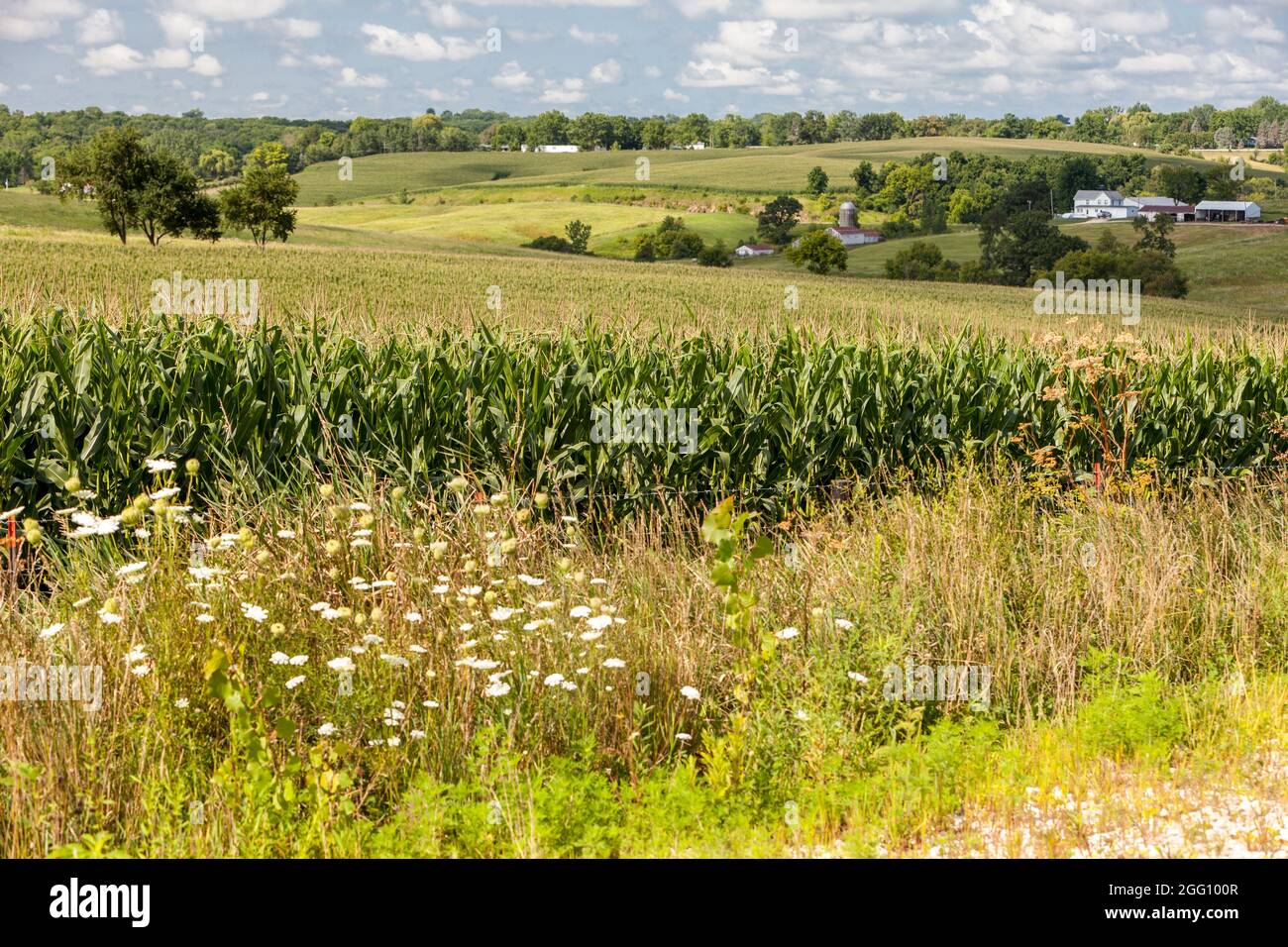 Iowa. Ackerland in der Nähe von Cascade. Stockfoto