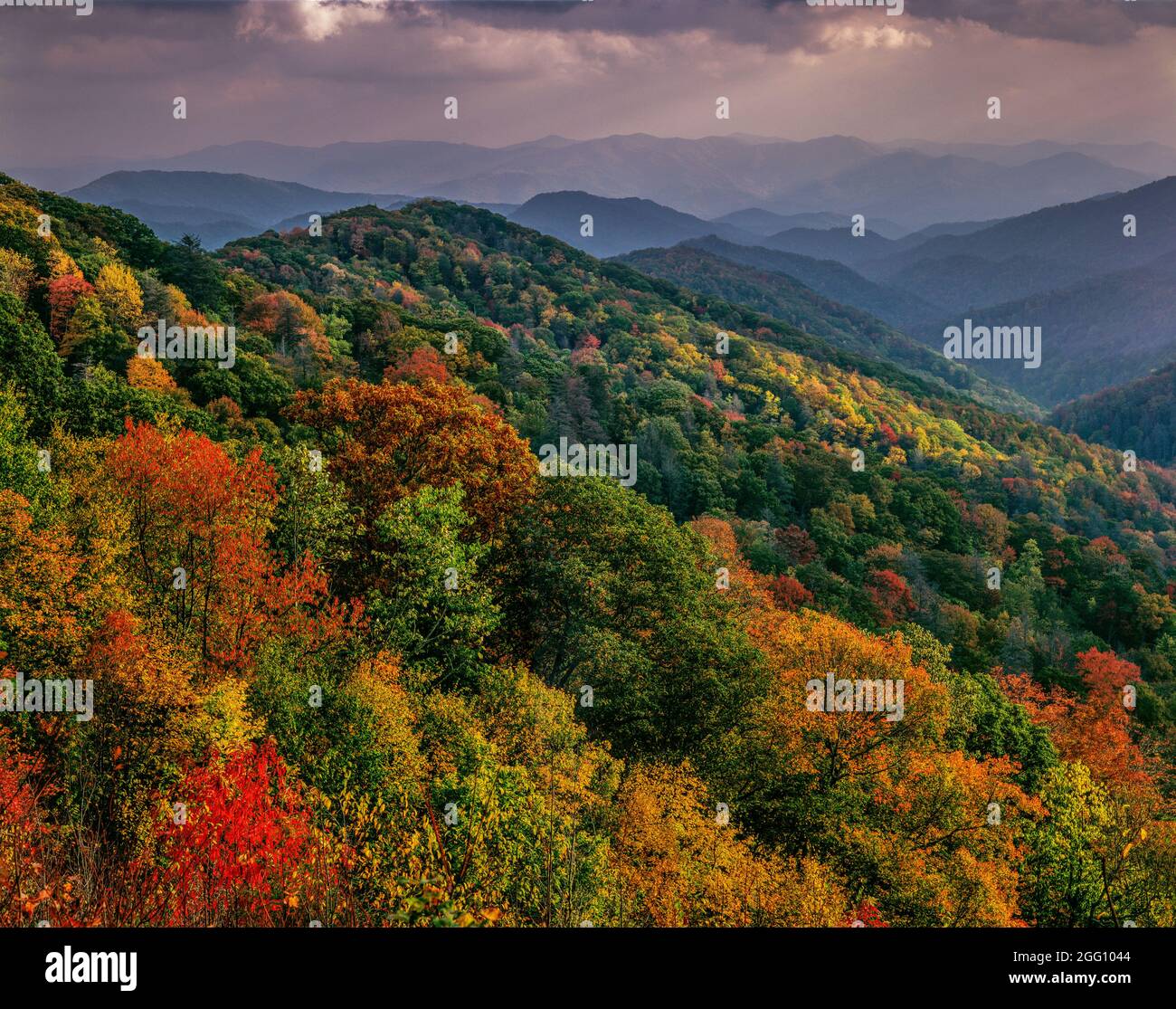 Herbst über Deep Creek, Great Smoky Mountains National Park NC Stockfoto