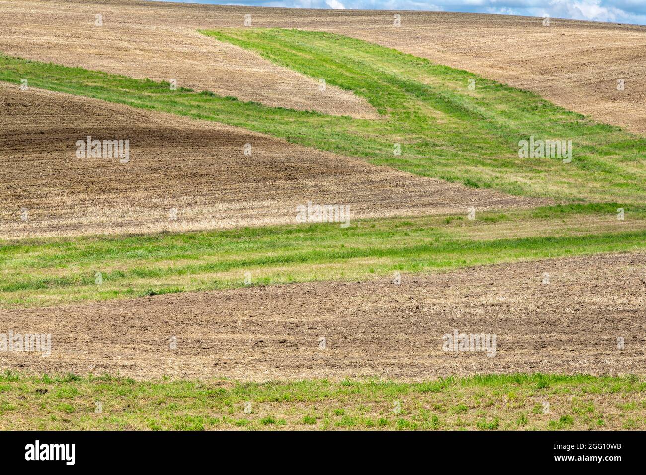 Iowa. Gemähtes Feld, in der Nähe von Cascade, Dubuque County. Stockfoto